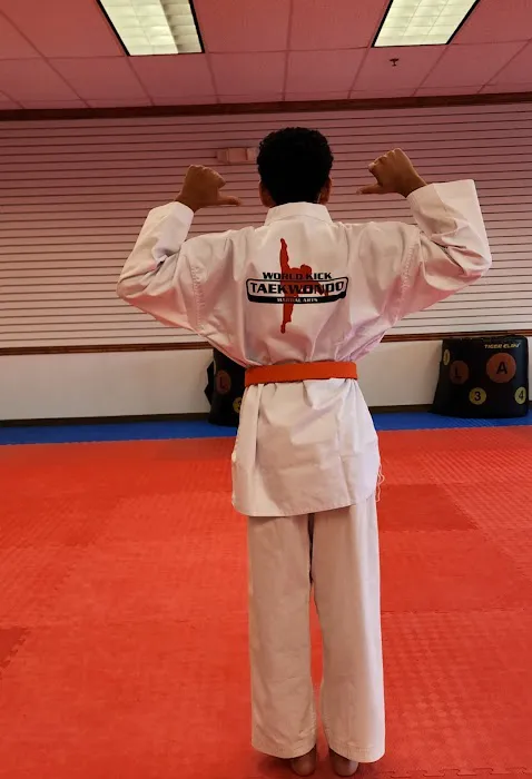 World Kick Taekwondo Picture 5