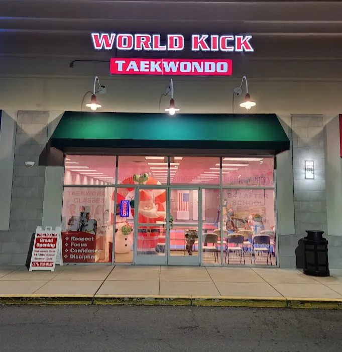 World Kick Taekwondo Picture 8