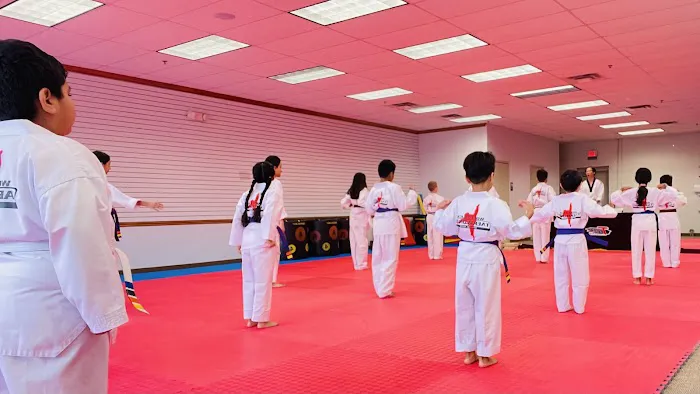 World Kick Taekwondo Picture 10