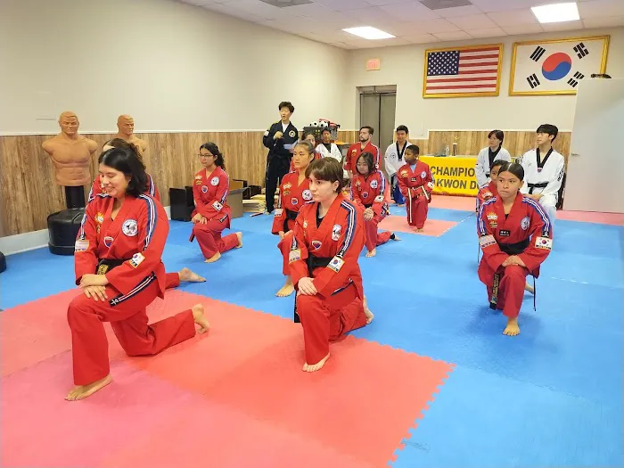 Yi Champions Taekwondo Academy Picture 4