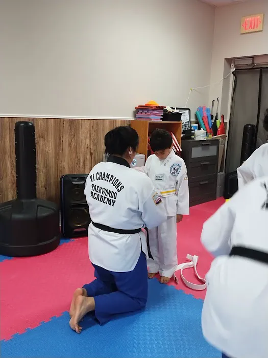 Yi Champions Taekwondo Academy Picture 3