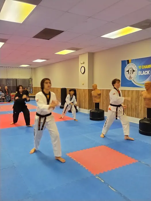 Yi Champions Taekwondo Academy Picture 5