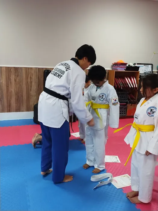 Yi Champions Taekwondo Academy Picture 9