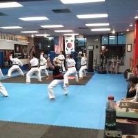Dasilva Simmons Karate (Traditional Tang Soo Do) ico