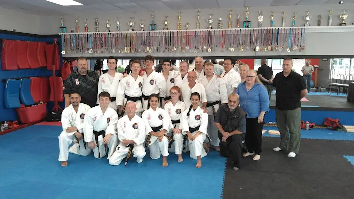 Dasilva Simmons Karate (Traditional Tang Soo Do) Picture 4