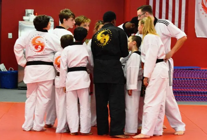 Prestige Sport Martial Arts Picture 8