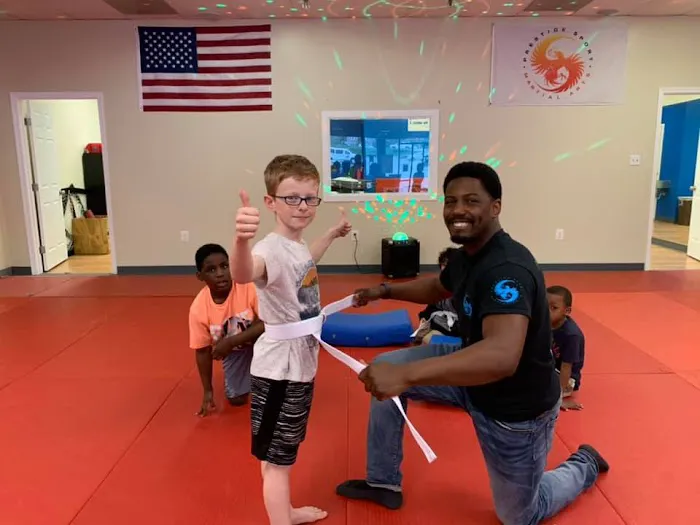 Prestige Sport Martial Arts Picture 10