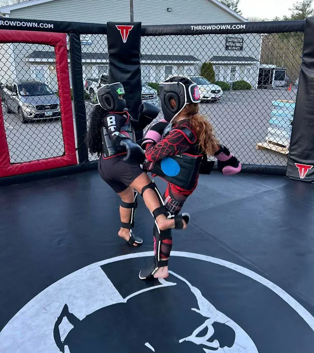 Spero's Martial Arts Academy Picture 3