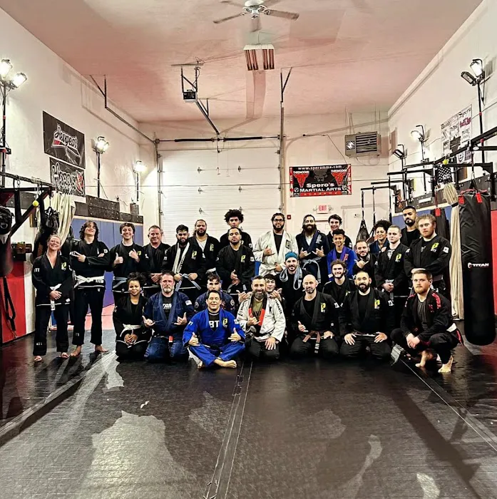Spero's Martial Arts Academy Picture 6