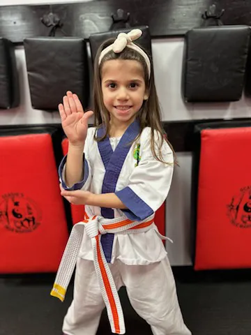 Ocasio's True Martial Arts - Plaistow Picture 1