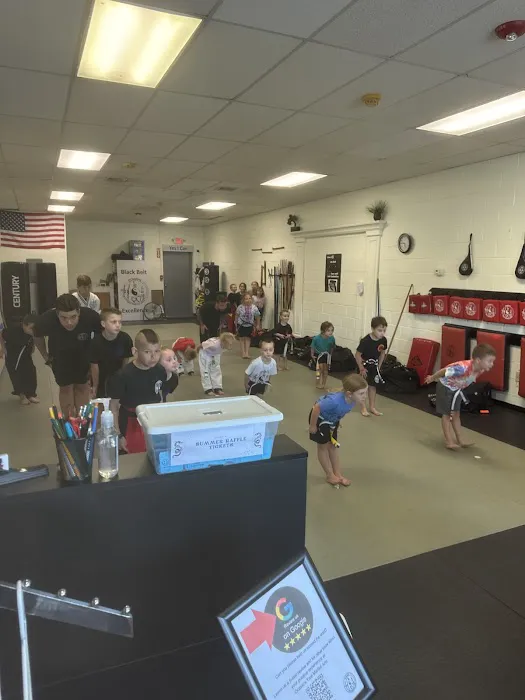 Ocasio's True Martial Arts - Plaistow Picture 2
