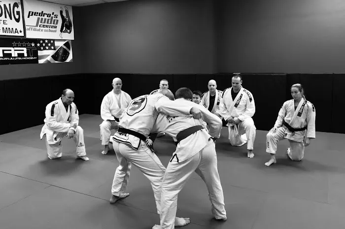 Professional Martial Arts Academy Picture 3