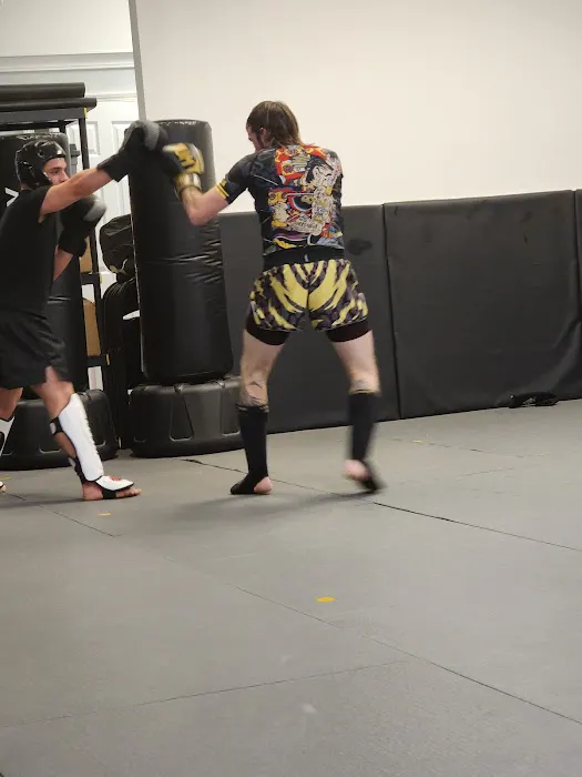 Professional Martial Arts Academy Picture 2