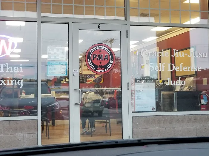 Professional Martial Arts Academy Picture 5