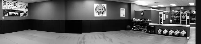 Professional Martial Arts Academy Picture 4