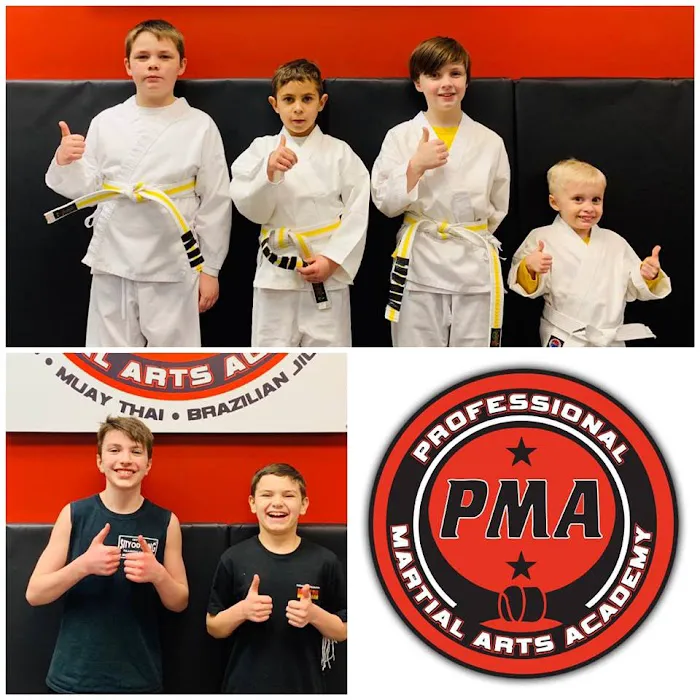 Professional Martial Arts Academy Picture 7