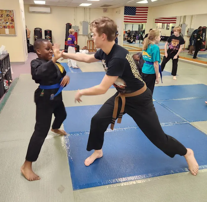 Tokyo Joe's Karate Picture 1