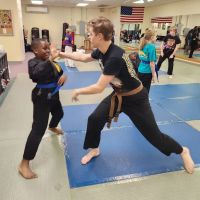 Tokyo Joe's Karate ico