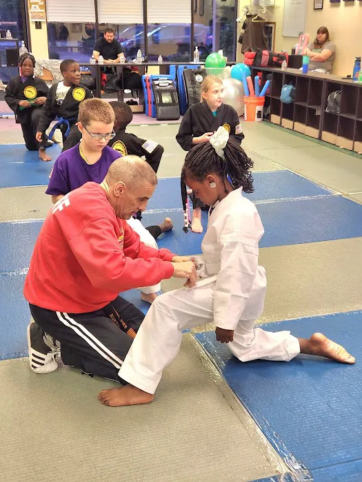 Tokyo Joe's Karate Picture 6