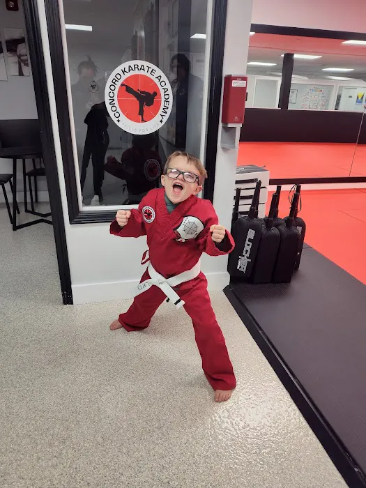 Concord Karate Studio and Academy Picture 4
