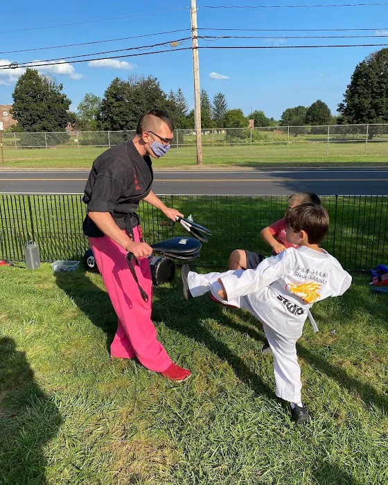 Steve DeMasco's Martial Arts of Concord Picture 4