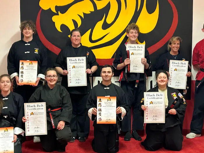 Steve DeMasco's Martial Arts of Concord Picture 3