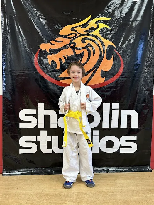 Steve DeMasco's Martial Arts of Concord Picture 2