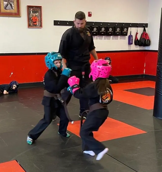 Steve DeMasco's Martial Arts of Concord Picture 7