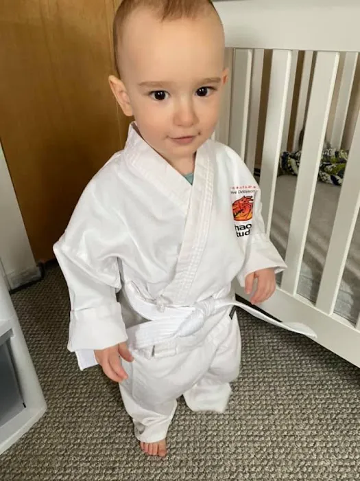 Steve DeMasco's Martial Arts of Concord Picture 6