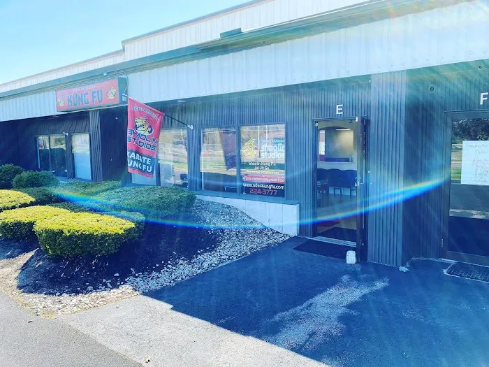 Steve DeMasco's Martial Arts of Concord Picture 9