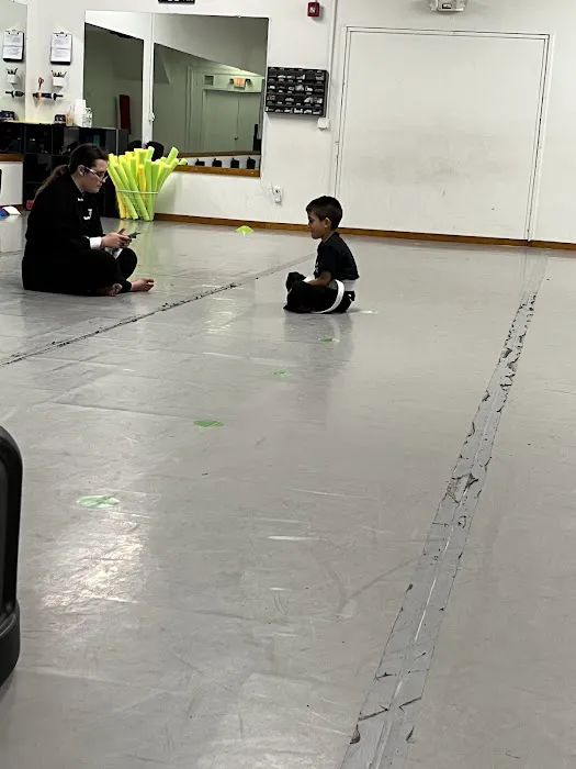 Zenith Martial Arts Picture 4