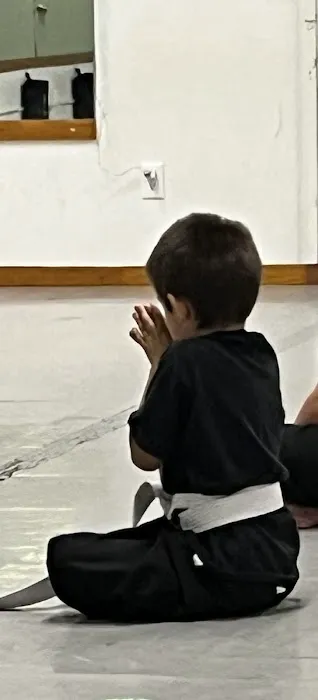 Zenith Martial Arts Picture 2