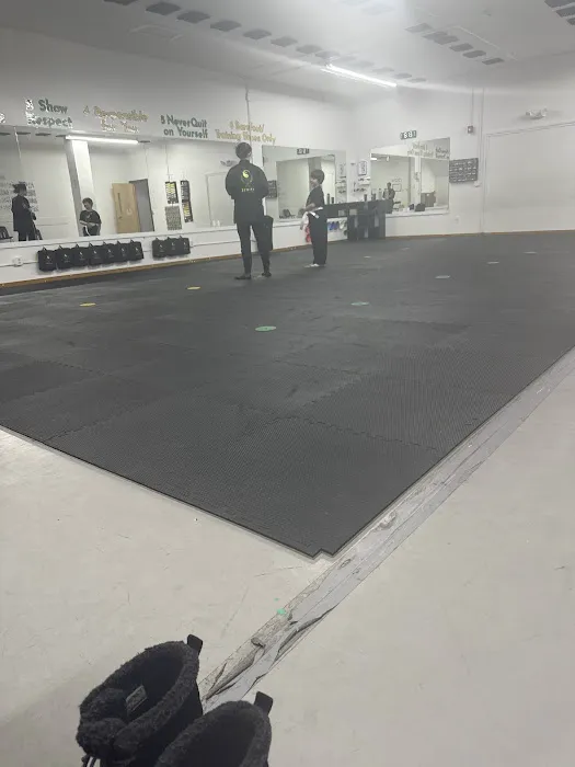 Zenith Martial Arts Picture 1