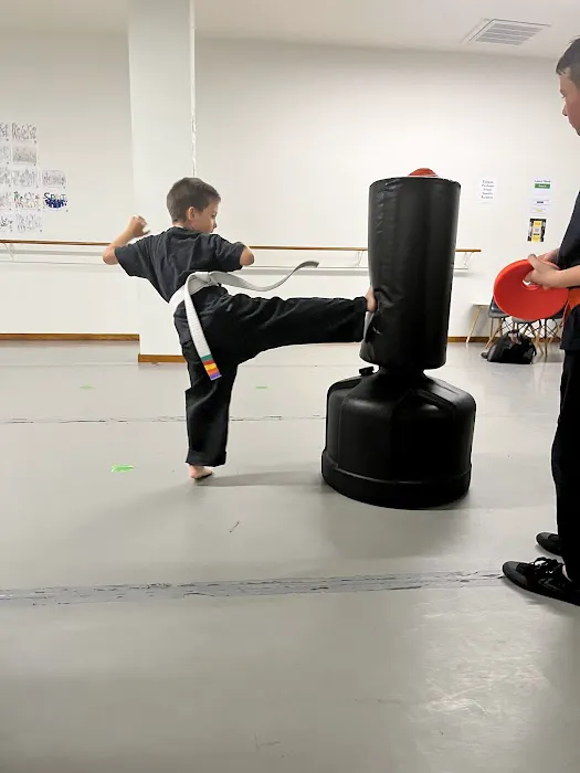 Zenith Martial Arts Picture 3