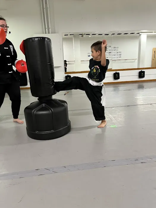 Zenith Martial Arts Picture 6