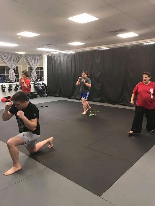 Karate International Martial Arts Center Picture 5