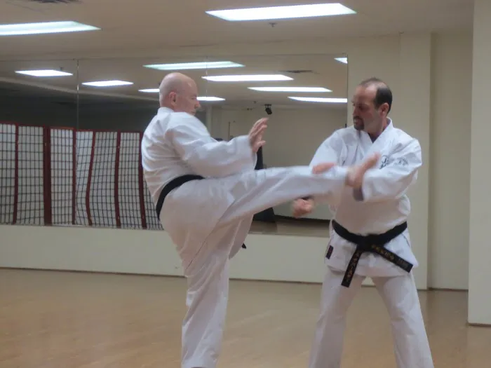 Randall School of Karate Picture 8