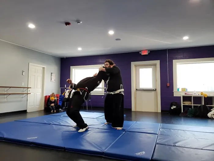 Jin Mu Hapkido / Kids Taekwondo Picture 6