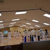 Mr. B’s Taekwon Do, LLC ico