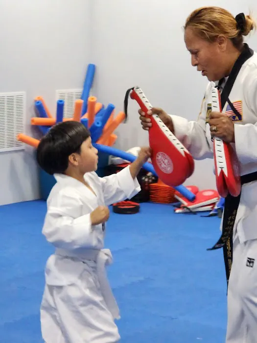 INAT USA National Institute of Taekwondo LLC Picture 4
