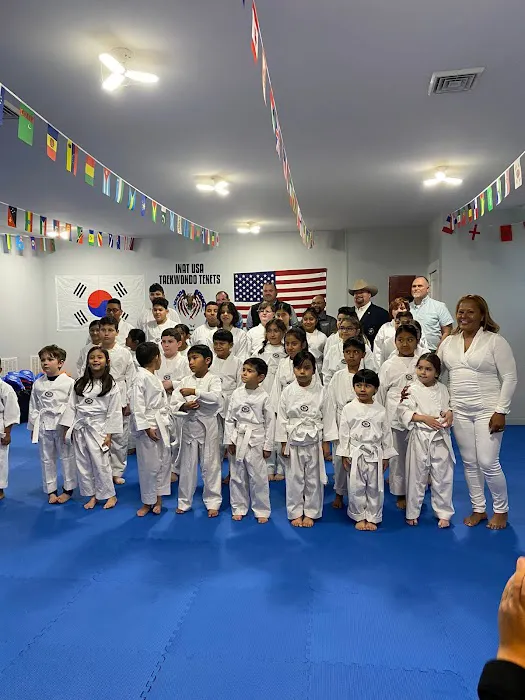 INAT USA National Institute of Taekwondo LLC Picture 5