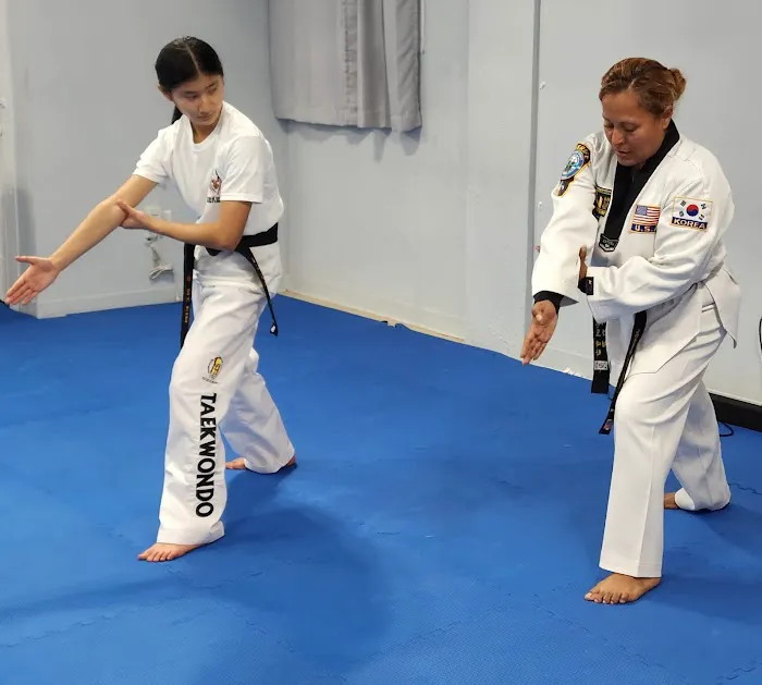 INAT USA National Institute of Taekwondo LLC Picture 1