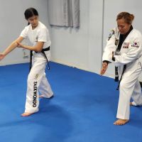 INAT USA National Institute of Taekwondo LLC ico