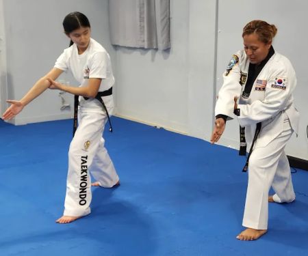 INAT USA National Institute of Taekwondo LLC