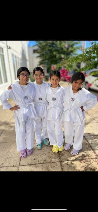 INAT USA National Institute of Taekwondo LLC Picture 2