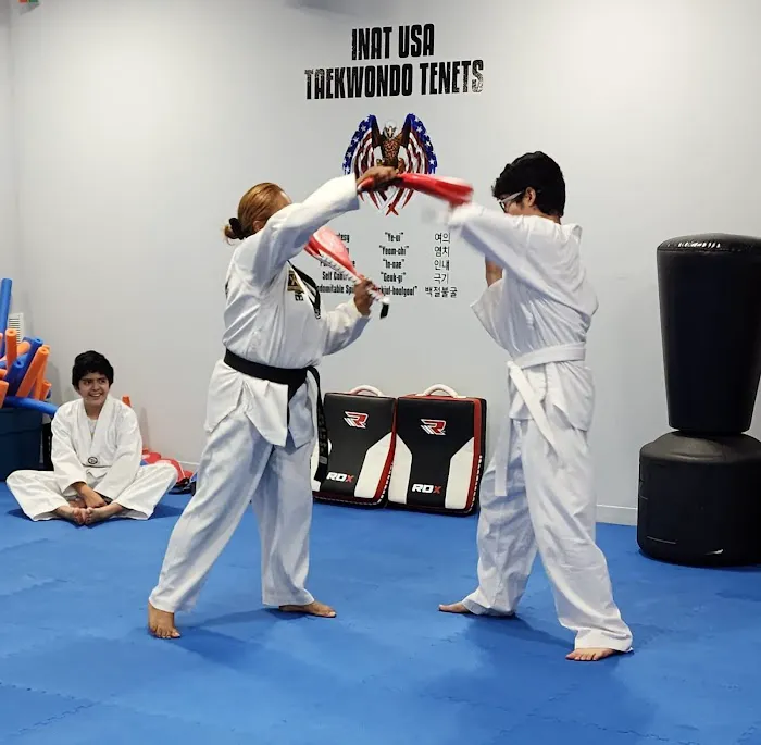 INAT USA National Institute of Taekwondo LLC Picture 3