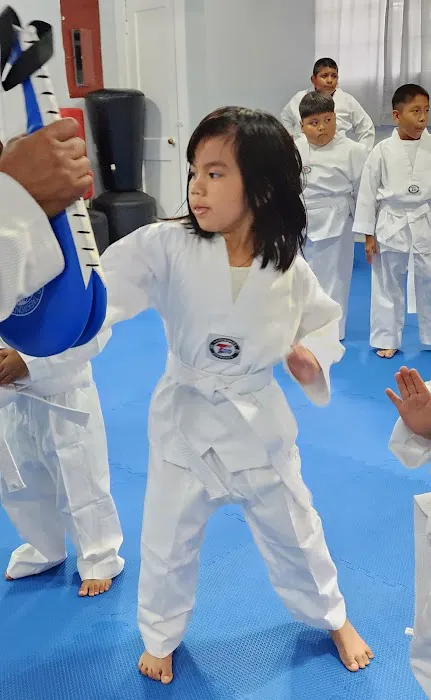 INAT USA National Institute of Taekwondo LLC Picture 7