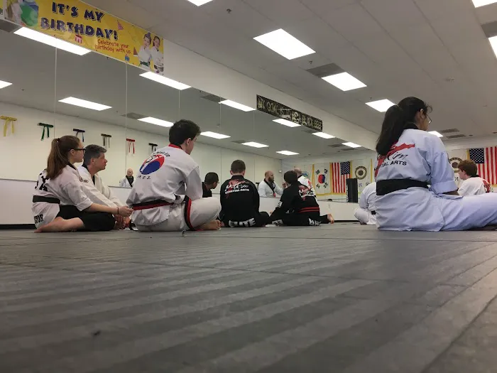 Mountain Kim Martial Arts Picture 4