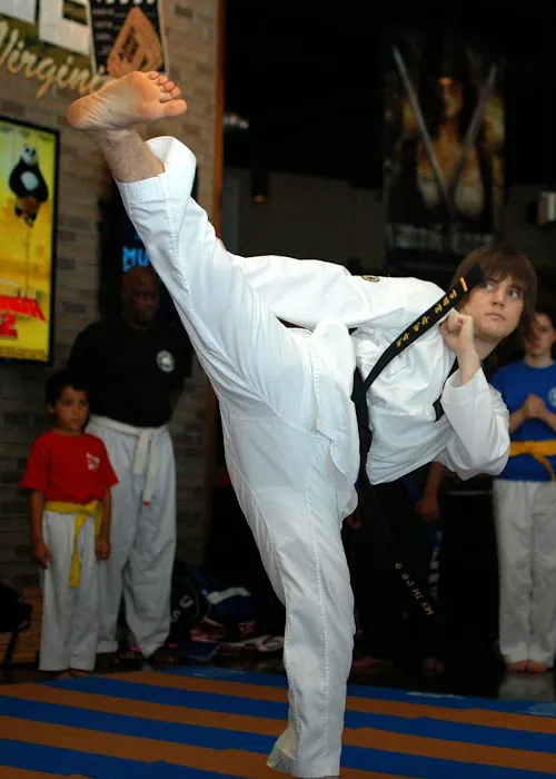 Mountain Kim Martial Arts Picture 5