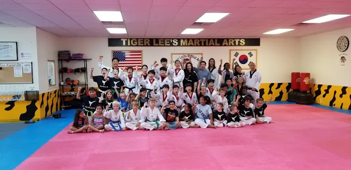 Tiger Im's Martial Arts Stafford Picture 3